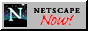 Netscape Now Logo